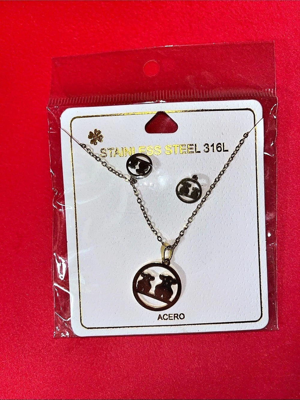 Stainless Steel Necklace & Earrings